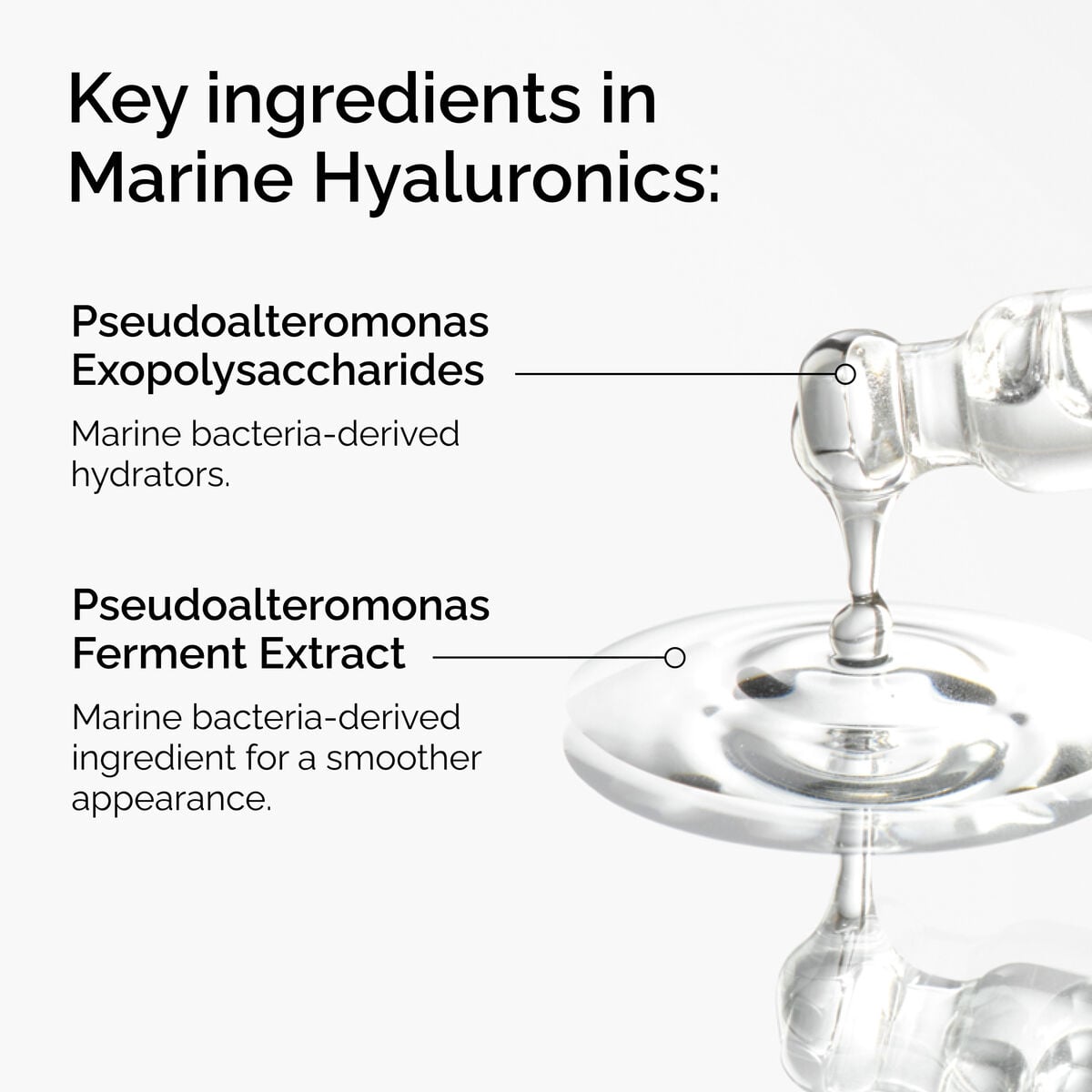 marine-hyaluronics-y5 FY25-D41247-ORD-Web-PDP-Marine-Hya-1x1-EN-2a.jpg