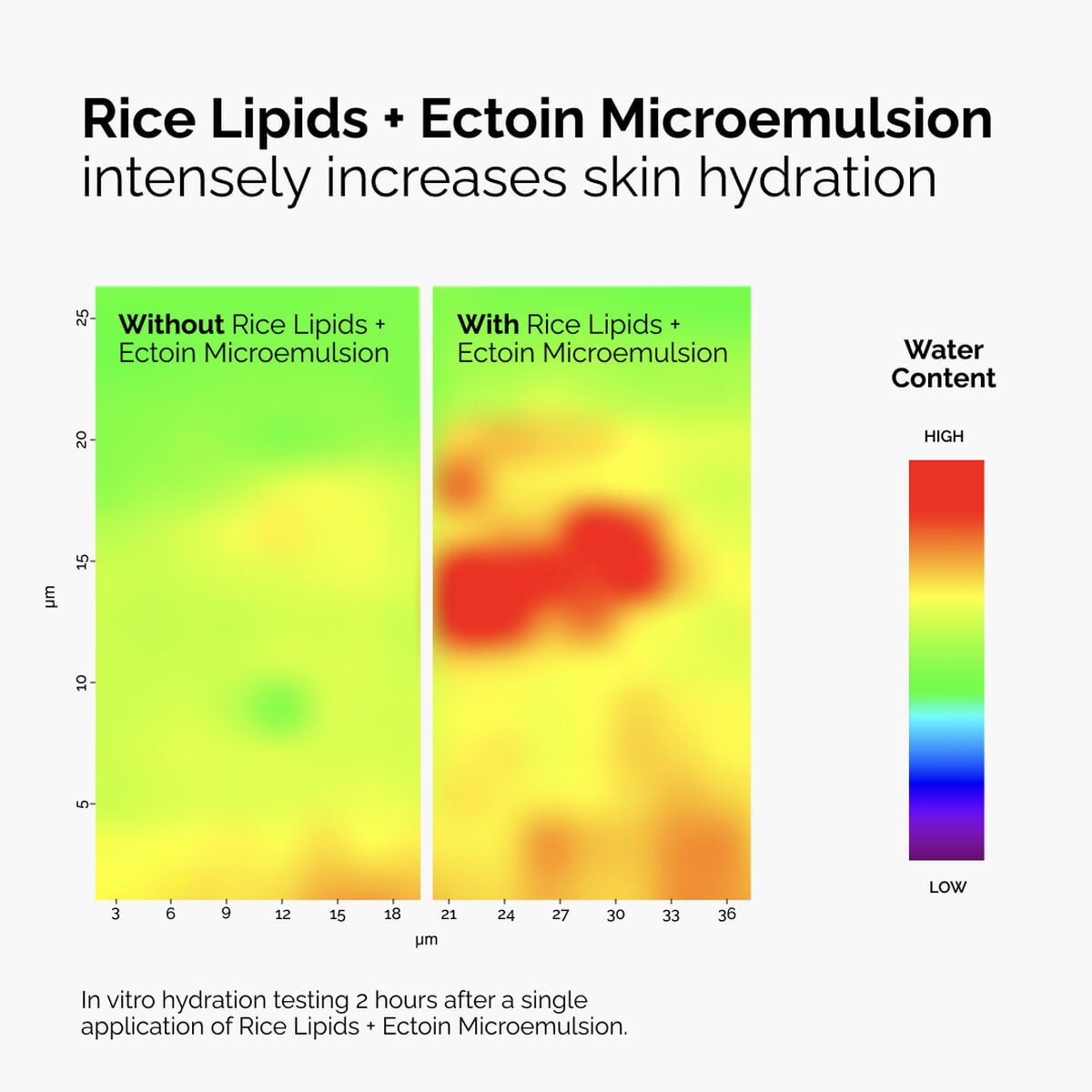 rice-lipids-ectoin-microemulsion-m5 ord-rice-lipids-ectoin-microemulsion-thermal-before-after.jpg